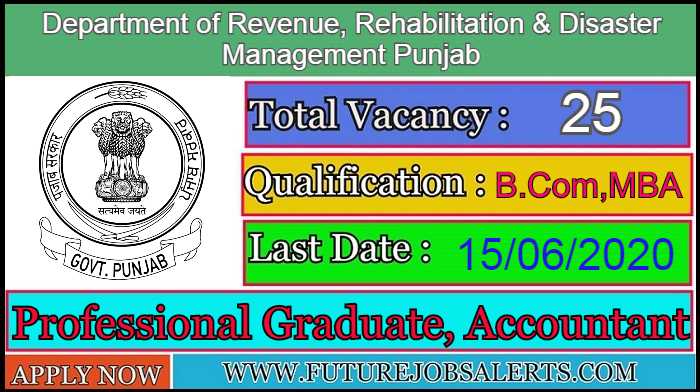 revenue department punjab jobs 2020