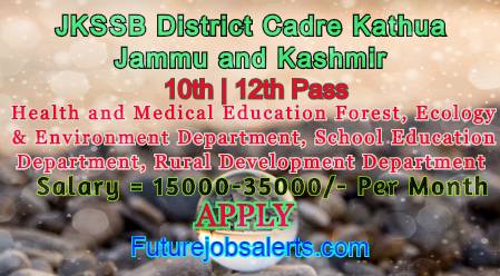 JKSSB Notification 2020 District Kathua Department 385 Vacancies